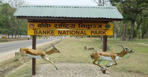 banke national park